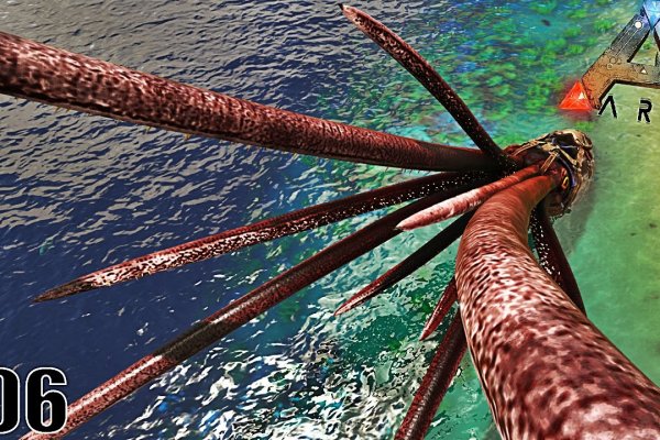 Kraken 5at